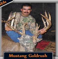 Goldrush