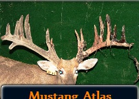Breeder Buck